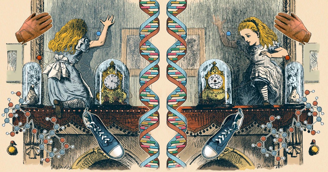 How the universe and its Mirrord version are different