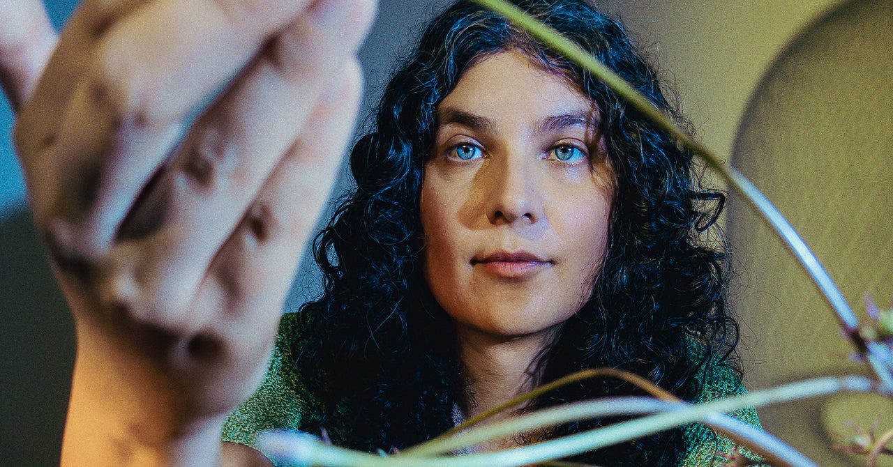 This historian has seen the future of trans health care