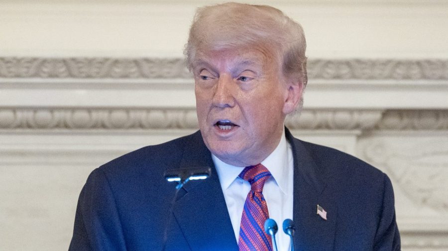 Trump says 'left lunatics' will be satisfied with the testimony of Epstein Grand Jurry
