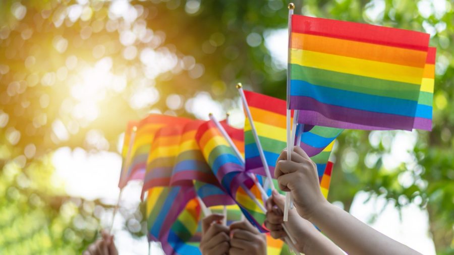 LGBTQ+ Mental Health Hotline is closed