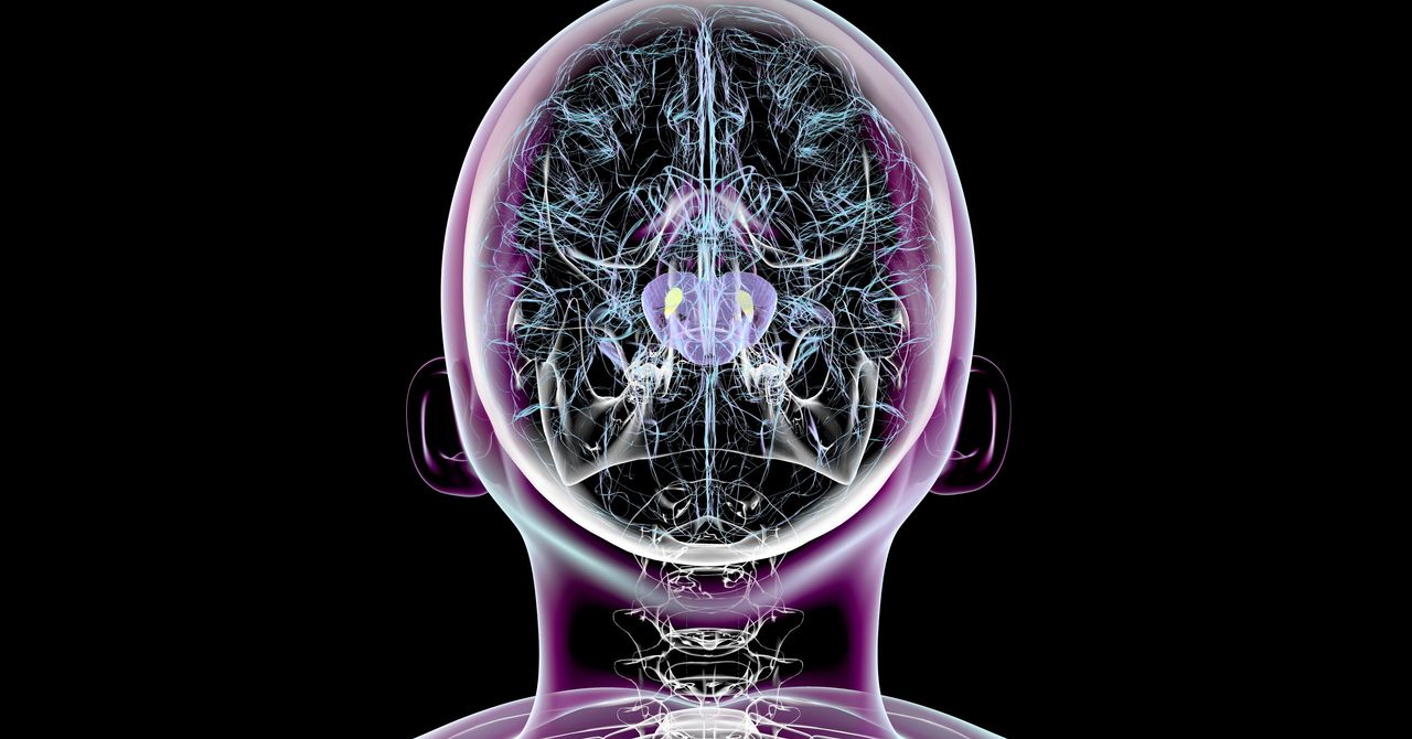 Scientists Sugging in the inversion of parkinson syptomas in mice