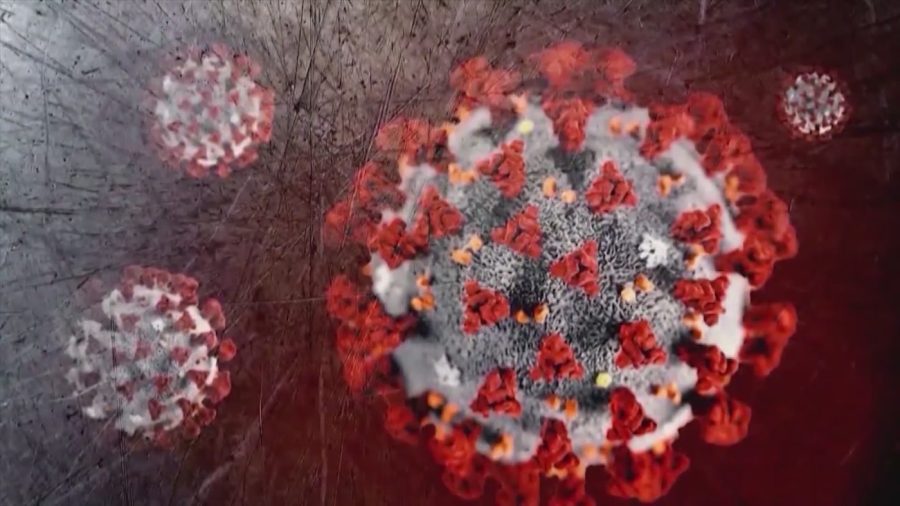 Where summer Covid-19 infections are hit hardest
