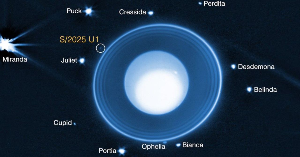 Find scientists in the new moon in Uranus orbit