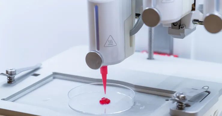 The researchers have created artificial skin printed in 3D which went to the bloodstream